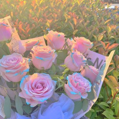 适合教师的高雅微信头像(精选10张)