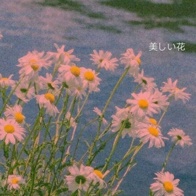 45岁头像女成熟稳重(精选14张)