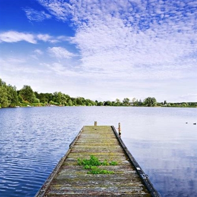 45岁头像女成熟稳重(精选14张)