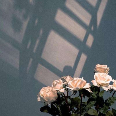 45岁头像女成熟稳重(精选14张)