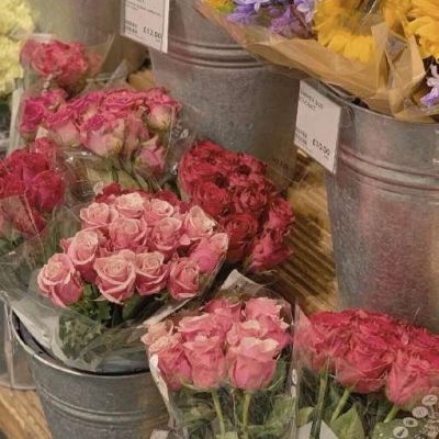 适合永久做头像的图片风景(精选10张)