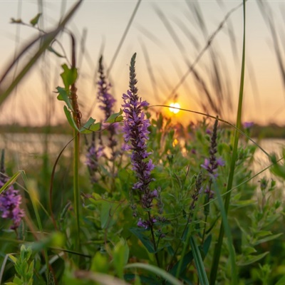 适合长期用的微信头像(精选12张)