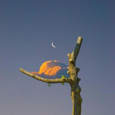 干净大方的微信头像(精选10张)