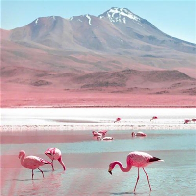 精致高雅的四十岁女人头像(精选12张)