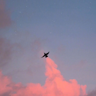 2023独一无二头像(精选12张)