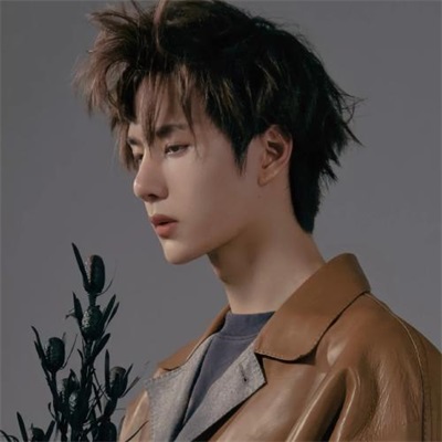 30岁到40岁的男人微信头像(精选12张)