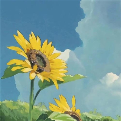 给人一种阳光的头像(精选10张)