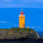 四十岁女人淡雅气质头像(精选14张)