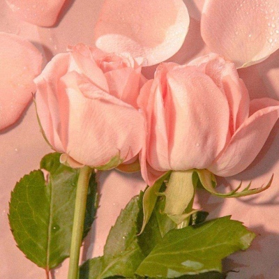 充满阳光朝气的微信头像(精选12张)