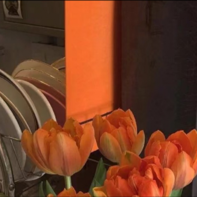 充满阳光朝气的微信头像(精选12张)