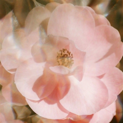 充满阳光朝气的微信头像(精选12张)