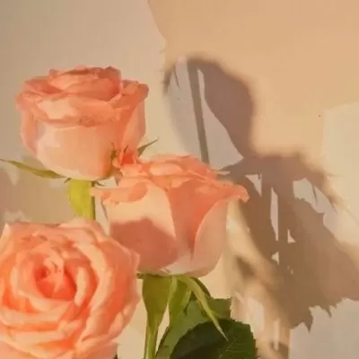 充满阳光朝气的微信头像(精选12张)