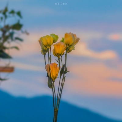 2023永久吸引人的微信头像(精选10张)