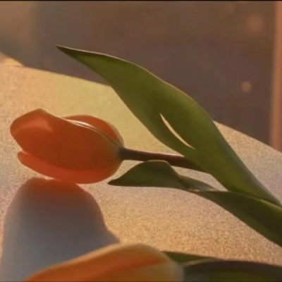 2023永久吸引人的微信头像(精选10张)