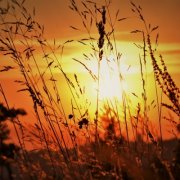 40一50岁男微信头像寓意好的(精选14张)