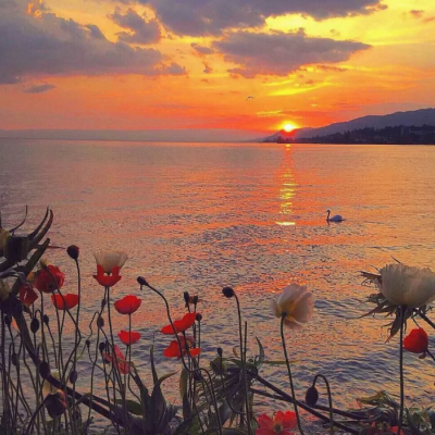 40一50岁男微信头像2023最新版