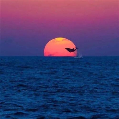 40一50岁男微信头像2023最新版