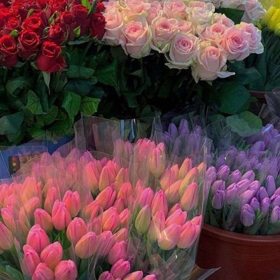 能让人心情阳光的头像(精选10张)