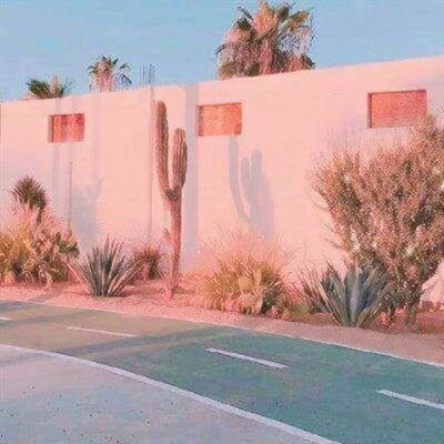 女人50岁优雅的风景微信头像