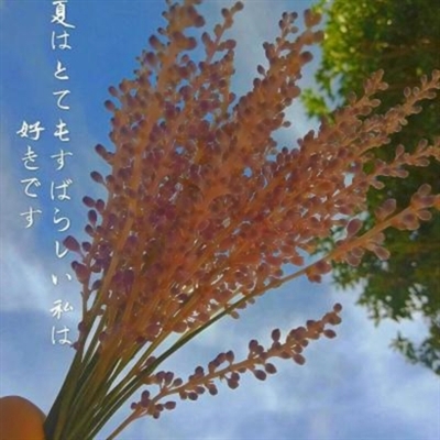 女人50岁优雅的风景微信头像