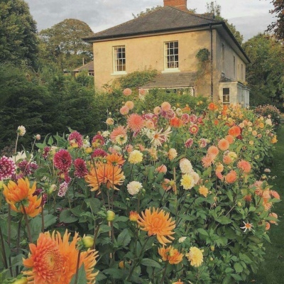 女人50岁优雅的风景微信头像