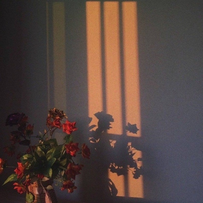 2023最舒心的微信头像(精选12张)