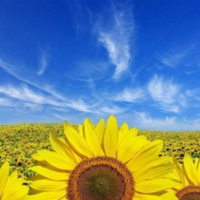 微信头像图片2023最新款男励志