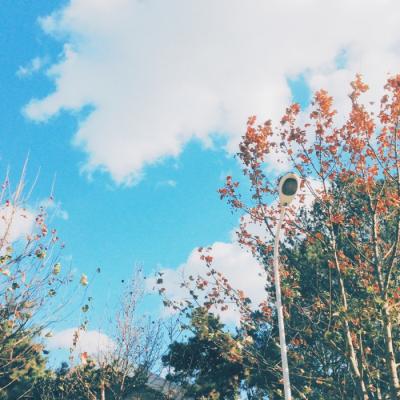 微信头像图片2023最新款男风景图