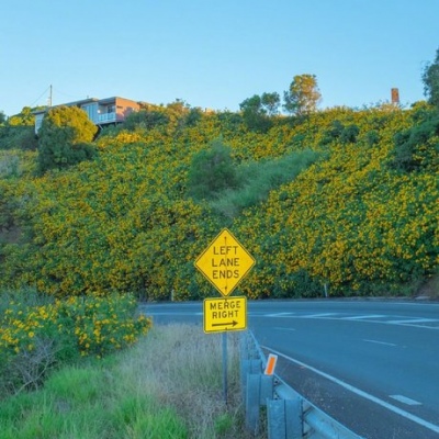 小众不易撞的女生头像(精选12张)