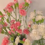 运气越来越好的微信头像(精选12张)