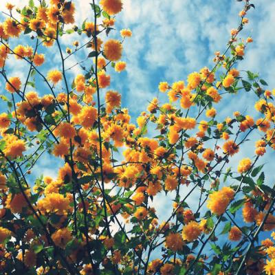 适合爷爷奶奶的微信头像图片(精选12张)