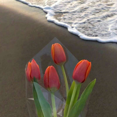 适合爷爷奶奶的微信头像图片(精选12张)