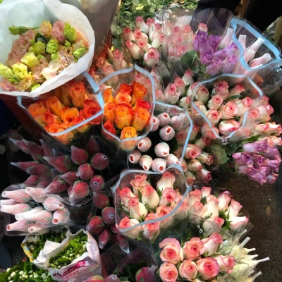 最吉利的花草微信头像(精选12张)