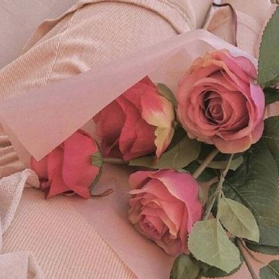 最吉利的花草微信头像(精选12张)