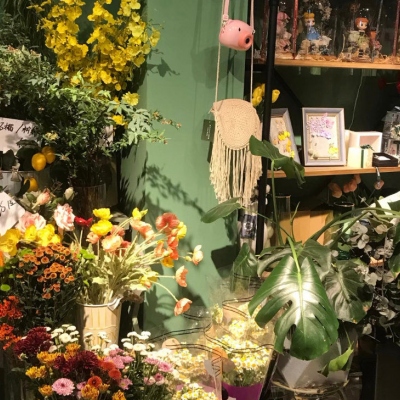 最吉利的花草微信头像(精选12张)