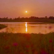 五六十岁老人用的头像(精选12张)