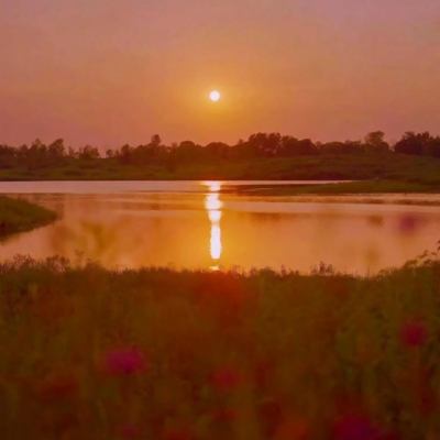 五六十岁老人用的头像(精选12张)