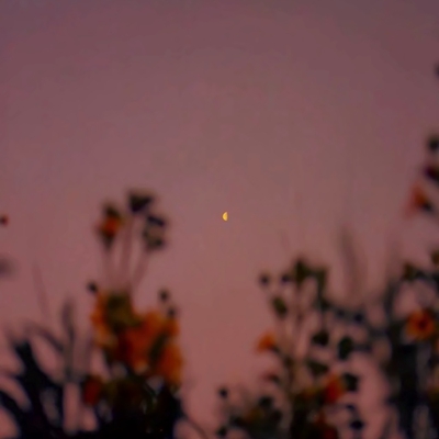 五六十岁老人用的头像(精选12张)