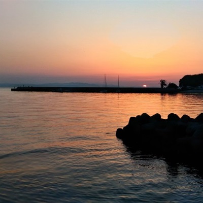 五六十岁老人用的头像(精选12张)