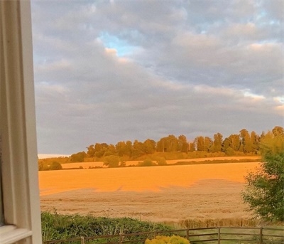 五六十岁老人用的头像(精选12张)