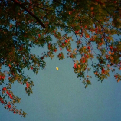 妈妈微信头像女生简单大方(精选12张)