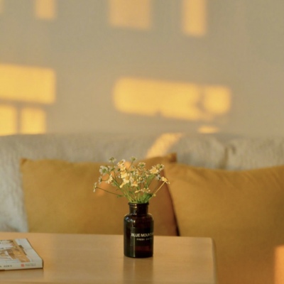 很罕见又很好看的头像(精选12张)