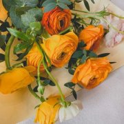 女人50岁优雅的风景微信头像(精选12张)