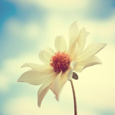 女人50岁优雅的风景微信头像(精选12张)