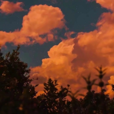 适合妈妈用的头像年轻大气(精选12张)