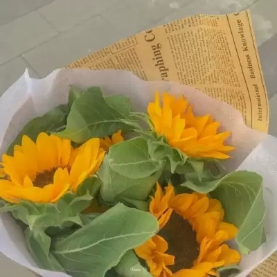 中年人抖音头像(精选12张)