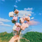 2022给女人带来好运吉利头像(精选14张)