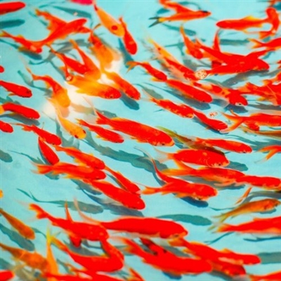 2023女人最旺财的微信头像(精选12张)