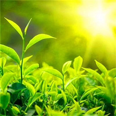 2023专属头像(精选12张)