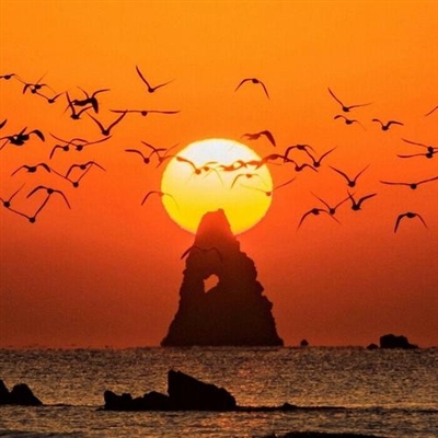 2023阳光正能量的头像(精选10张)